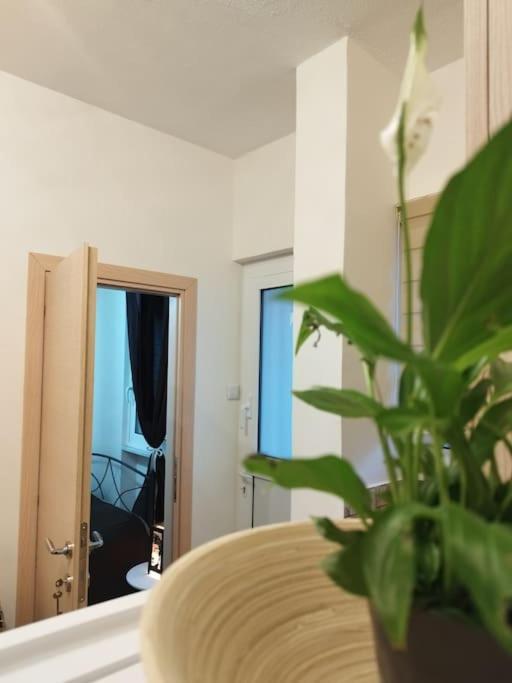 Esteticaapartments Rhodes City Buitenkant foto